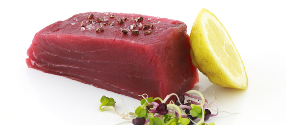 tuna ahi bluefin albacore yellowfin